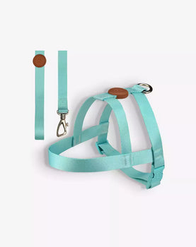 Conjunto Peitoral Tradicional e Guia Maresia